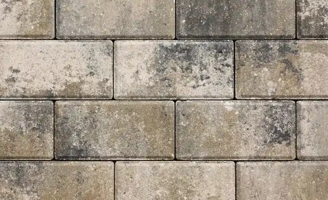 Malt-Pecan-Charcoal-408306-1