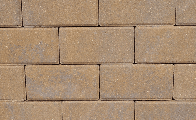 Pecan – Chocolate.jpg