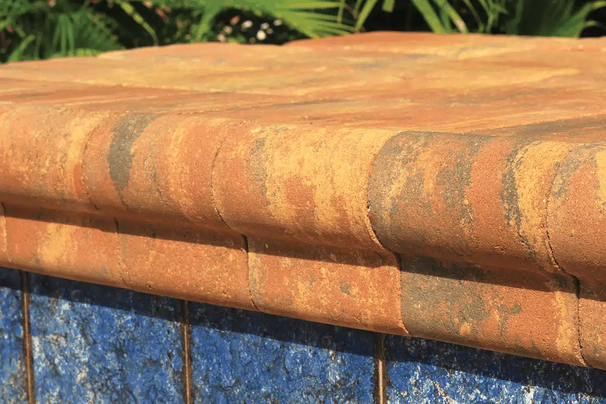 Remodel Safety 2 1/2"