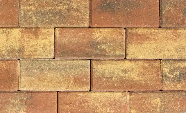 Sunset-Yellow-Chocolate-394663-1