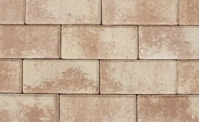 Vanilla-Foundation-4175-scaled-1-scaled