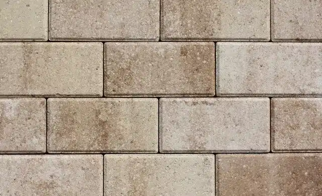 White-Vanilla-Coconut-014177-3-1